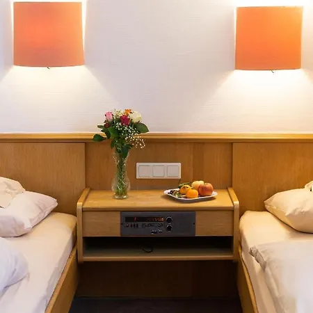 酒店 肯克赫米尔霍夫酒店 凯尔克海姆（陶努斯）