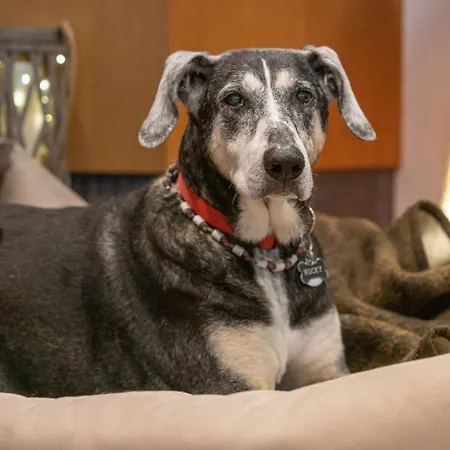 肯克赫米尔霍夫酒店