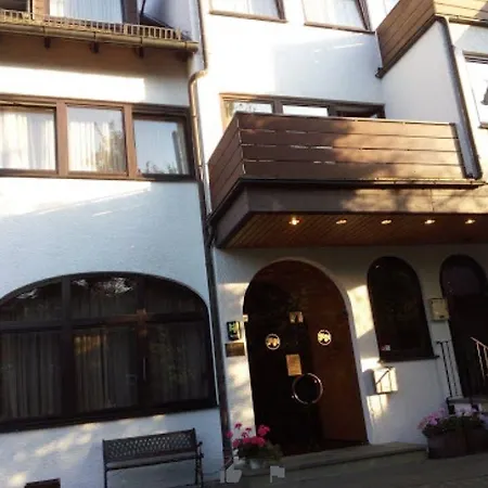 Kelkheimer Hof 3*